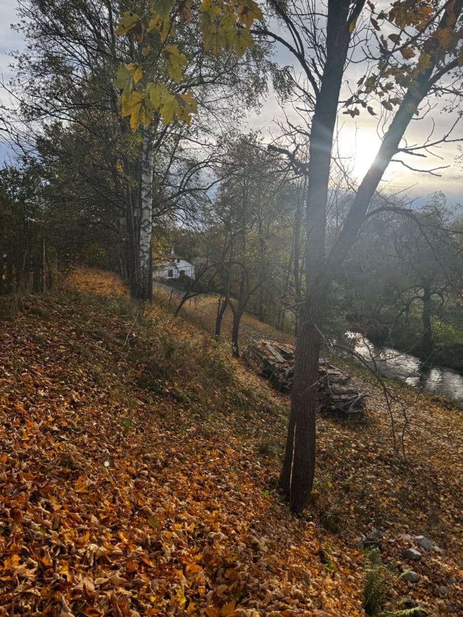 Predaj pozemku 366 m², Dolní Žďár, Jihočeský kraj Predaj pozemku 366 m², Dolní Žďár, Jihočeský kraj