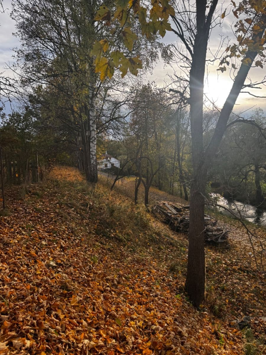 Predaj pozemku 366 m², Dolní Žďár, Jihočeský kraj Predaj pozemku 366 m², Dolní Žďár, Jihočeský kraj