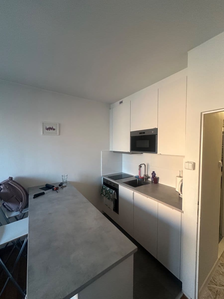 Prenájom bytu 1-izbový 27 m², Jabloňová, Praha, Praha Prenájom bytu 1-izbový 27 m², Jabloňová, Praha, Praha