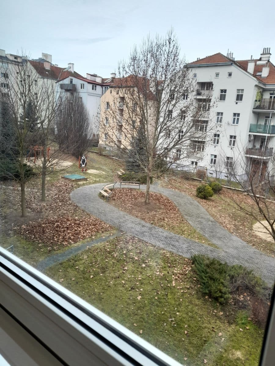 Prenájom bytu 3-izbový 65 m², Pešinova, Brno, Jihomoravský kraj Prenájom bytu 3-izbový 65 m², Pešinova, Brno, Jihomoravský kraj