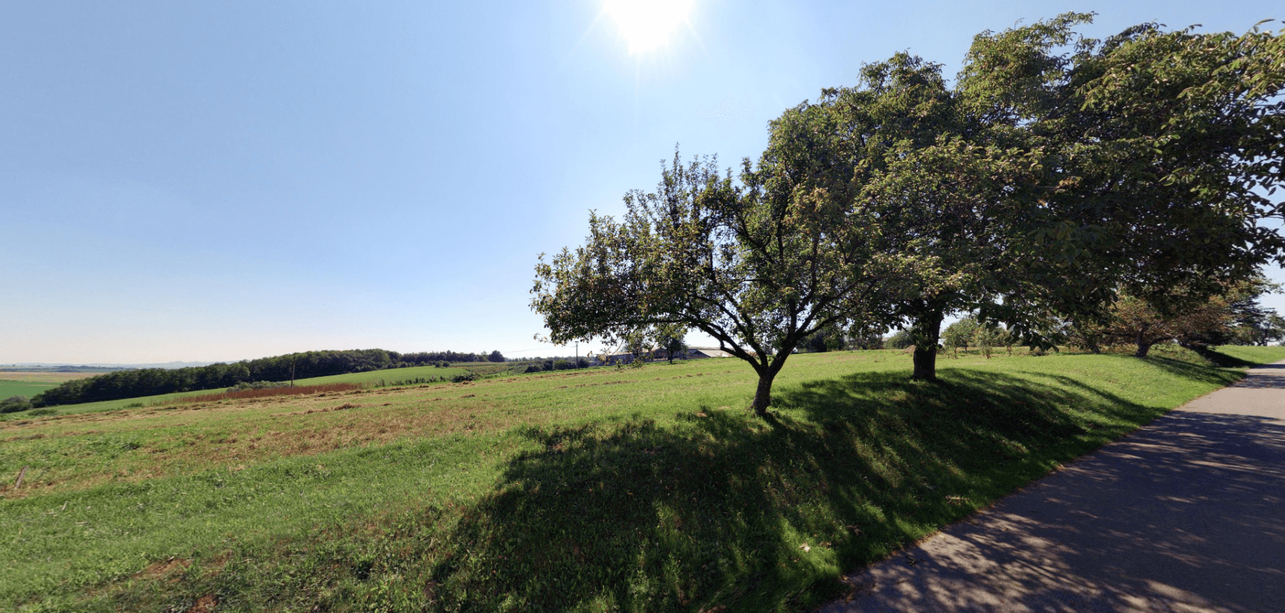 Predaj pozemku 14.429 m², Pavlovice u Přerova, Olomoucký kraj Predaj pozemku 14.429 m², Pavlovice u Přerova, Olomoucký kraj