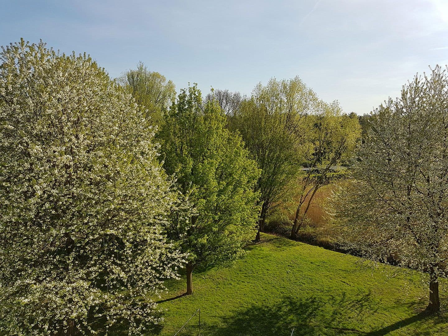 Predaj bytu 3-izbový 64 m², Otto - Dix - Ring 38, Dresden, Sasko Predaj bytu 3-izbový 64 m², Otto - Dix - Ring 38, Dresden, Sasko