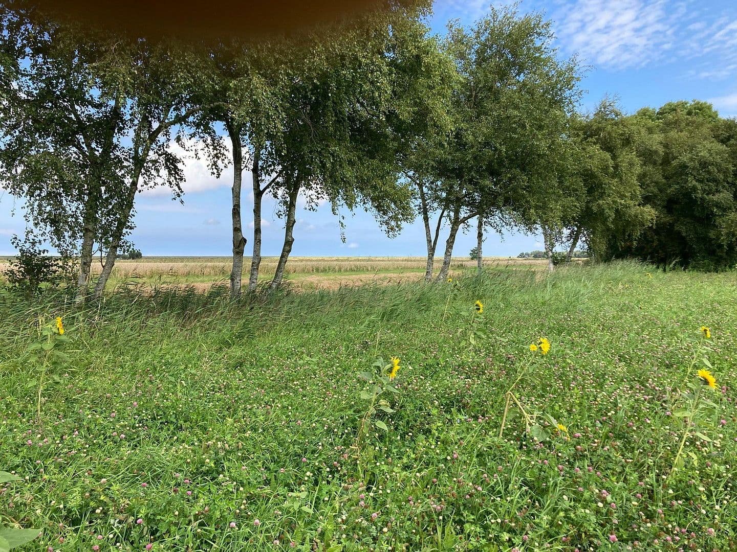 Predaj pozemku 700 m², Ondelweg 1, Dornum, Dolné Sasko Predaj pozemku 700 m², Ondelweg 1, Dornum, Dolné Sasko