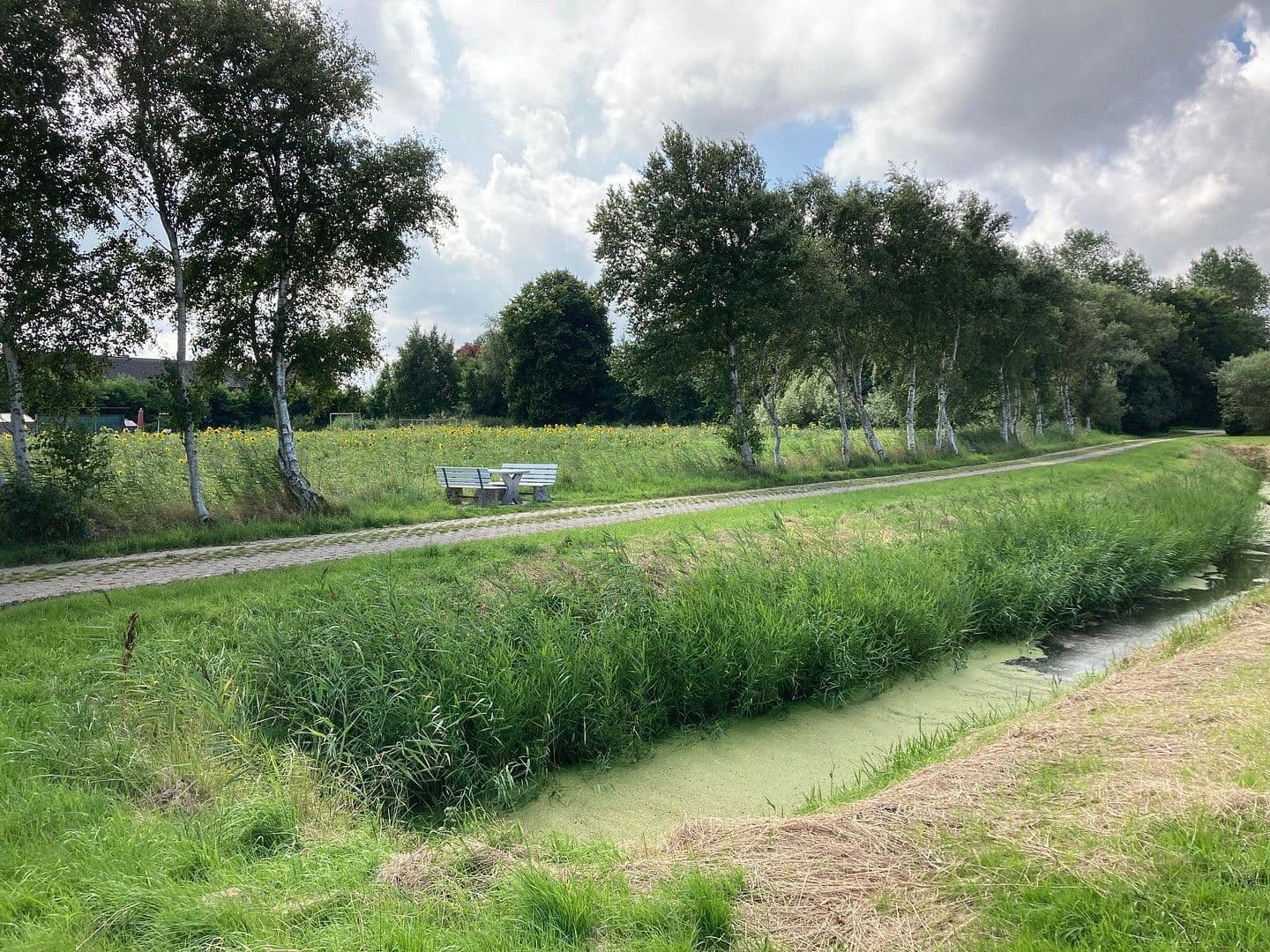 Predaj pozemku 700 m², Ondelweg 1, Dornum, Dolné Sasko Predaj pozemku 700 m², Ondelweg 1, Dornum, Dolné Sasko