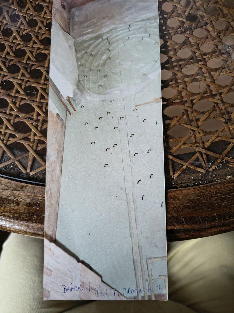 Predaj domu 130 m², pozemek 563 m², Friesack, Brandenbursko Predaj domu 130 m², pozemek 563 m², Friesack, Brandenbursko