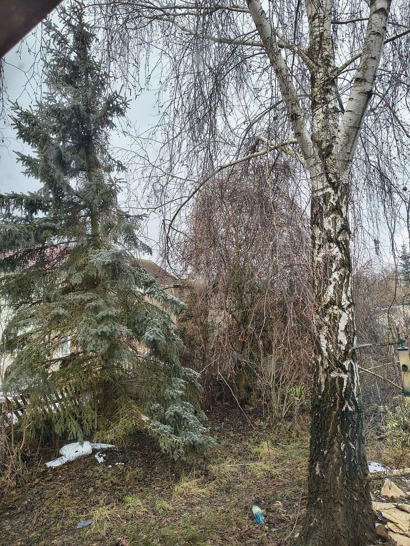 Predaj domu 130 m², pozemek 563 m², Friesack, Brandenbursko Predaj domu 130 m², pozemek 563 m², Friesack, Brandenbursko