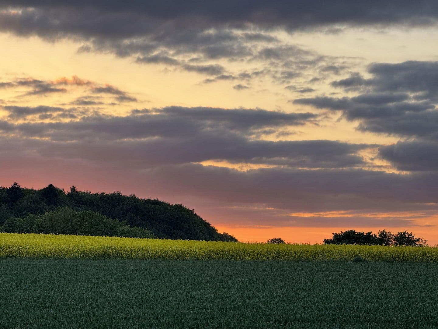 Prenájom bytu 4-izbový 94 m², Feldbergblick 26, Waldems, Hesensko Prenájom bytu 4-izbový 94 m², Feldbergblick 26, Waldems, Hesensko