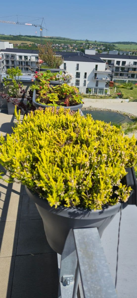 Predaj bytu 4-izbový 155 m², T. G. Masaryka, Horoměřice, Středočeský kraj Predaj bytu 4-izbový 155 m², T. G. Masaryka, Horoměřice, Středočeský kraj