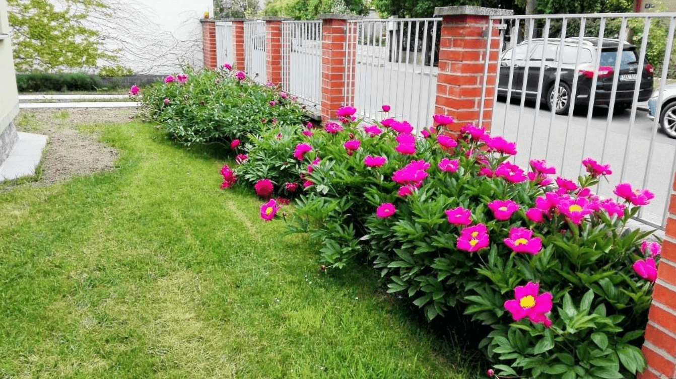 Prenájom bytu 6-izbový 129 m², Medkova, Praha, Praha Prenájom bytu 6-izbový 129 m², Medkova, Praha, Praha