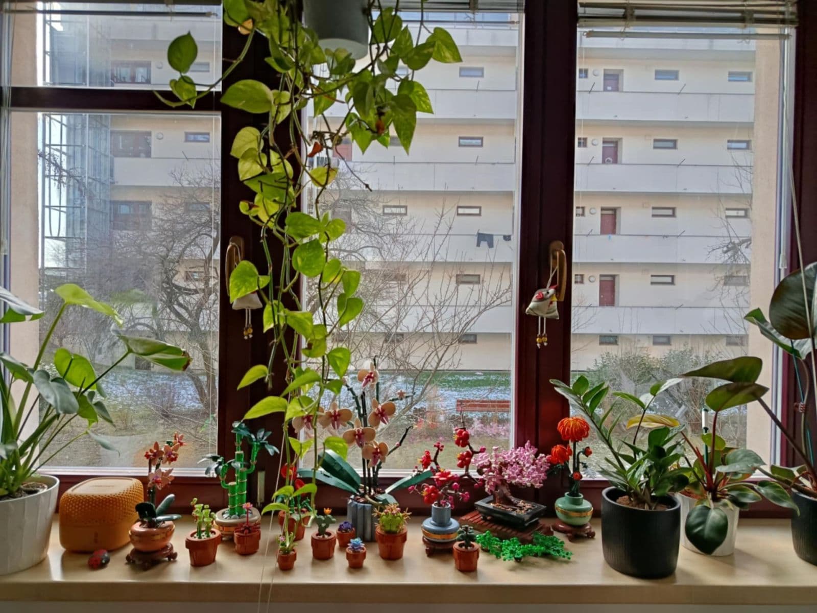 Prenájom bytu 1-izbový 40 m², Dvorského, Brno, Jihomoravský kraj Prenájom bytu 1-izbový 40 m², Dvorského, Brno, Jihomoravský kraj