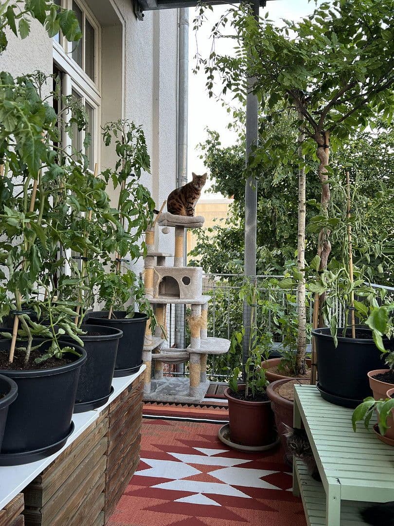 Predaj bytu 4-izbový 110 m², Hohenzollernring 18c, Berlin, Berlín Predaj bytu 4-izbový 110 m², Hohenzollernring 18c, Berlin, Berlín