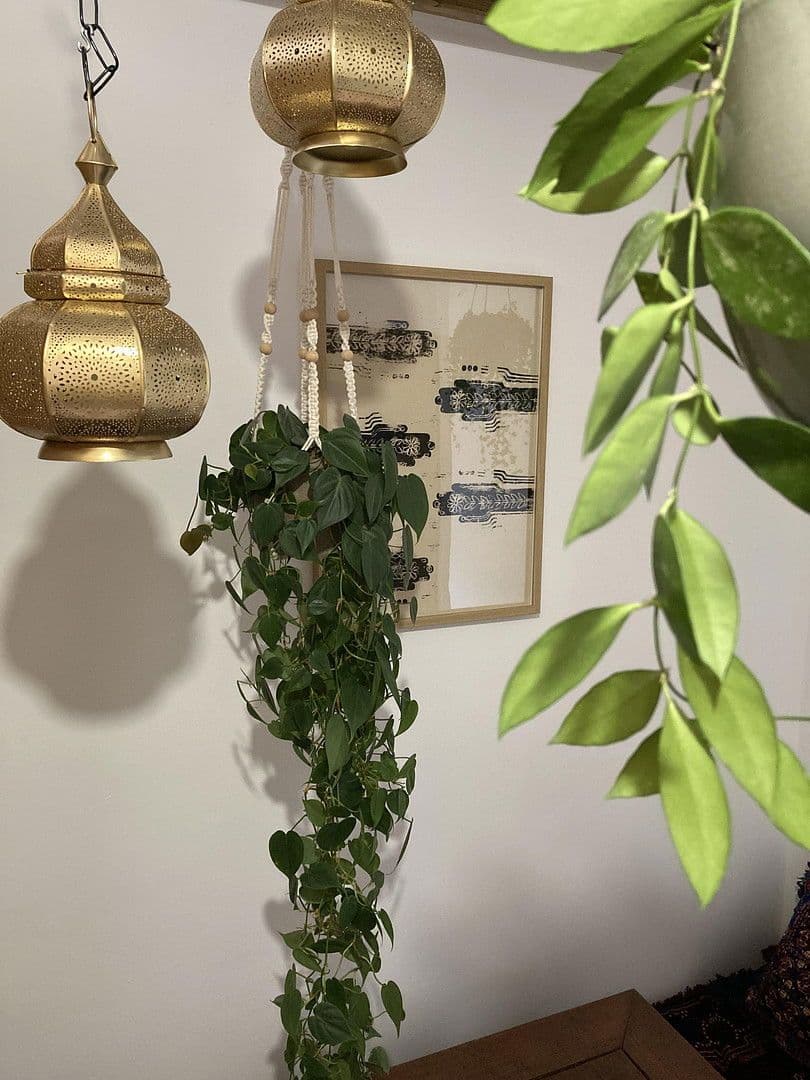 Prenájom bytu 9 m², Pfärrle 3, Augsburg, Bavorsko Prenájom bytu 9 m², Pfärrle 3, Augsburg, Bavorsko