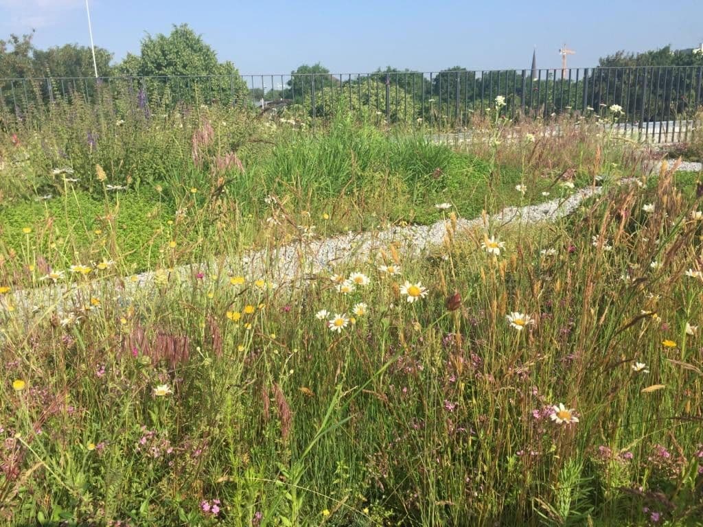 Predaj bytu 3-izbový 72 m², München, Bavorsko Predaj bytu 3-izbový 72 m², München, Bavorsko