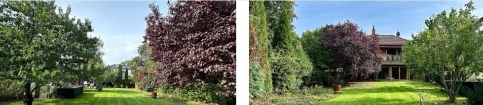 Predaj domu 220 m², pozemek 1.224 m², Falkensee, Brandenbursko Predaj domu 220 m², pozemek 1.224 m², Falkensee, Brandenbursko