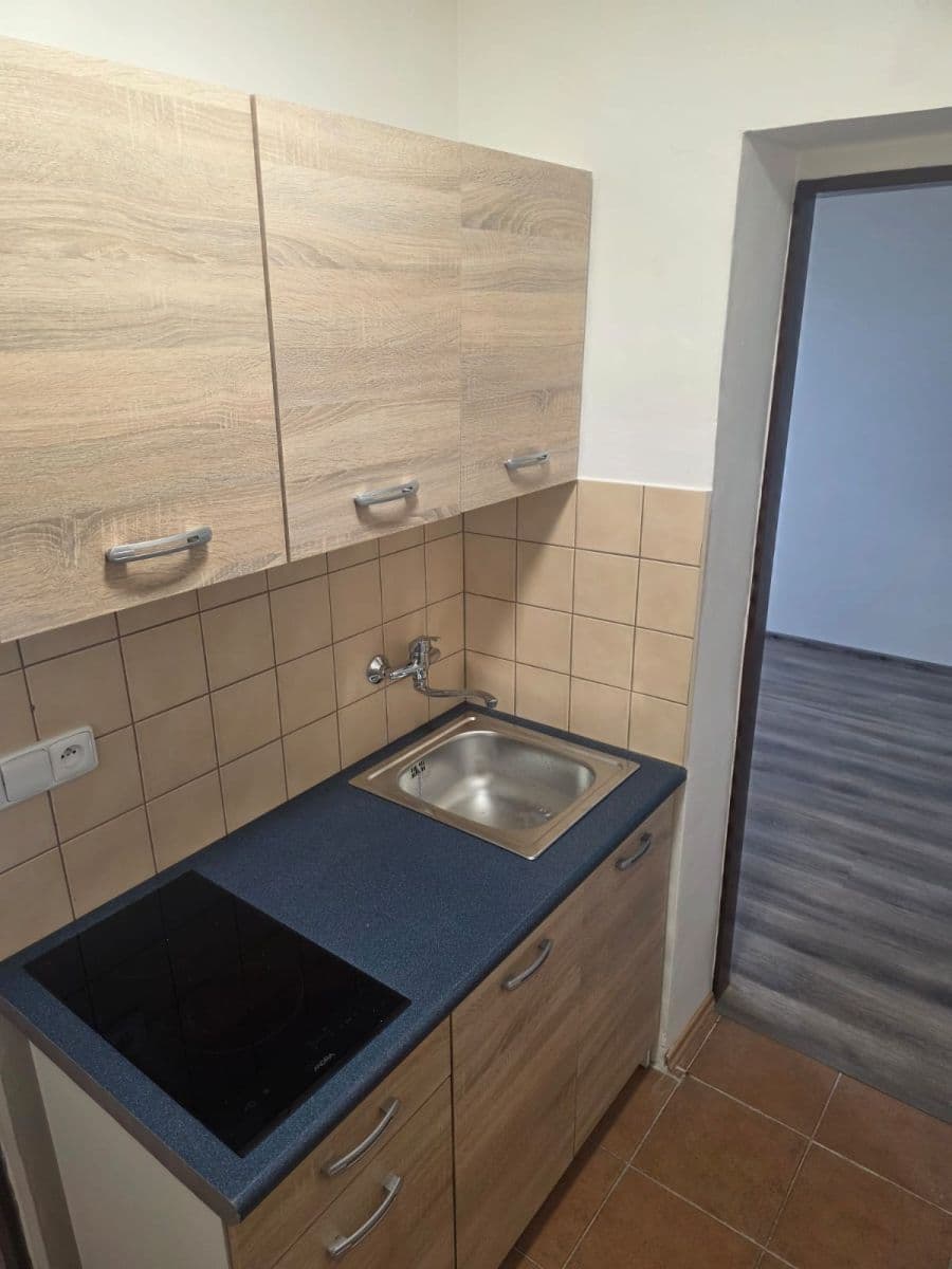 Prenájom bytu 1-izbový 18 m², Hlavní, Panenské Břežany, Středočeský kraj Prenájom bytu 1-izbový 18 m², Hlavní, Panenské Břežany, Středočeský kraj