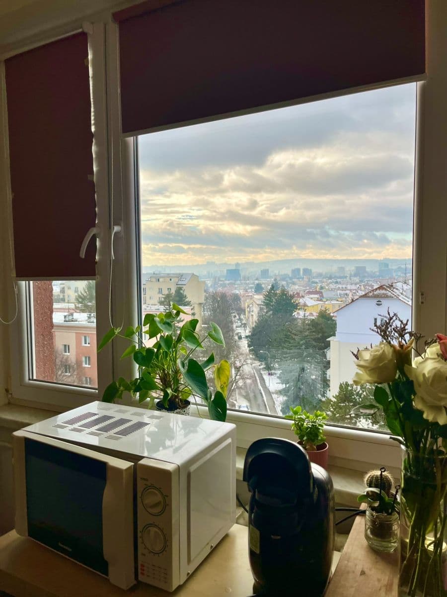 Predaj bytu 1-izbový 20 m², Kneslova, Brno, Jihomoravský kraj Predaj bytu 1-izbový 20 m², Kneslova, Brno, Jihomoravský kraj