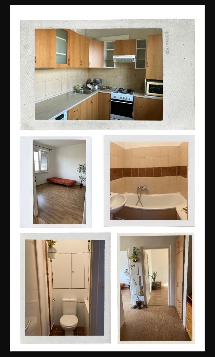 Prenájom bytu 2-izbový 54 m², Žerotínov, Zábřeh, Olomoucký kraj Prenájom bytu 2-izbový 54 m², Žerotínov, Zábřeh, Olomoucký kraj