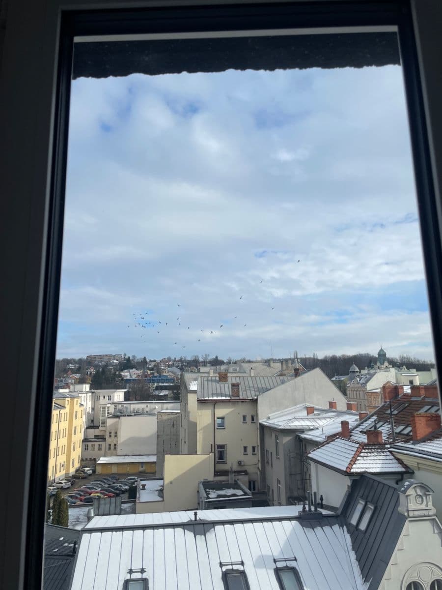 Prenájom bytu 1-izbový 21 m², Sokolská třída, Ostrava, Moravskoslezský kraj Prenájom bytu 1-izbový 21 m², Sokolská třída, Ostrava, Moravskoslezský kraj