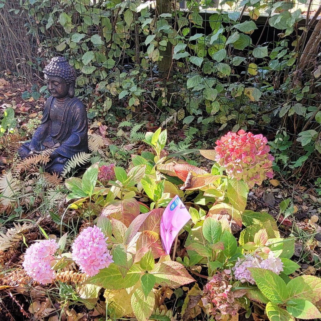 Predaj domu 162 m², pozemek 798 m², Berlin, Berlín Predaj domu 162 m², pozemek 798 m², Berlin, Berlín