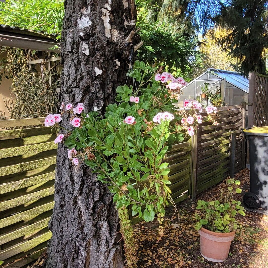 Predaj domu 162 m², pozemek 798 m², Berlin, Berlín Predaj domu 162 m², pozemek 798 m², Berlin, Berlín