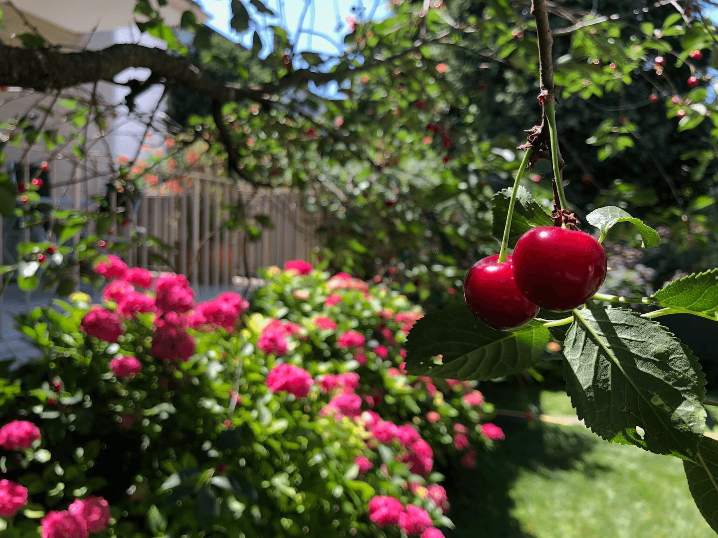 Predaj domu 320 m², pozemek 694 m², Frankfurt, Hesensko Predaj domu 320 m², pozemek 694 m², Frankfurt, Hesensko