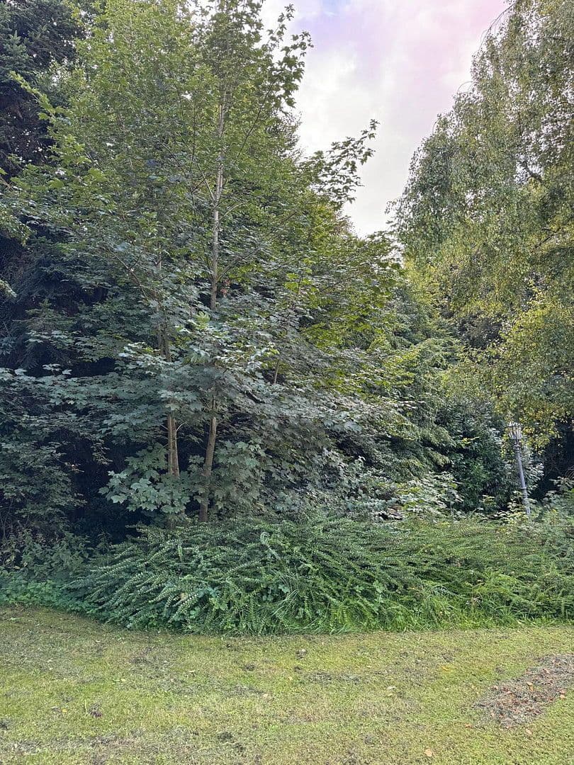 Predaj pozemku 1.800 m², Kötz, Bavorsko Predaj pozemku 1.800 m², Kötz, Bavorsko