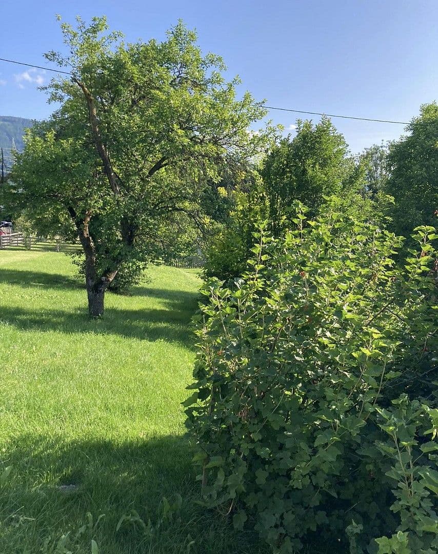 Predaj pozemku 1.123 m², Tachenberg, Aigen, Štajersko Predaj pozemku 1.123 m², Tachenberg, Aigen, Štajersko