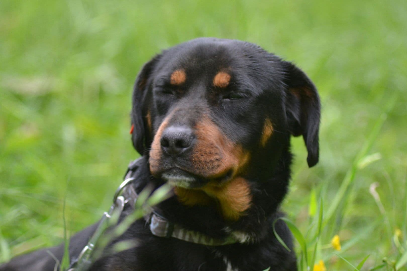 Prenájom bytu 3-izbový 99 m², Kochel am See, Bavorsko Prenájom bytu 3-izbový 99 m², Kochel am See, Bavorsko