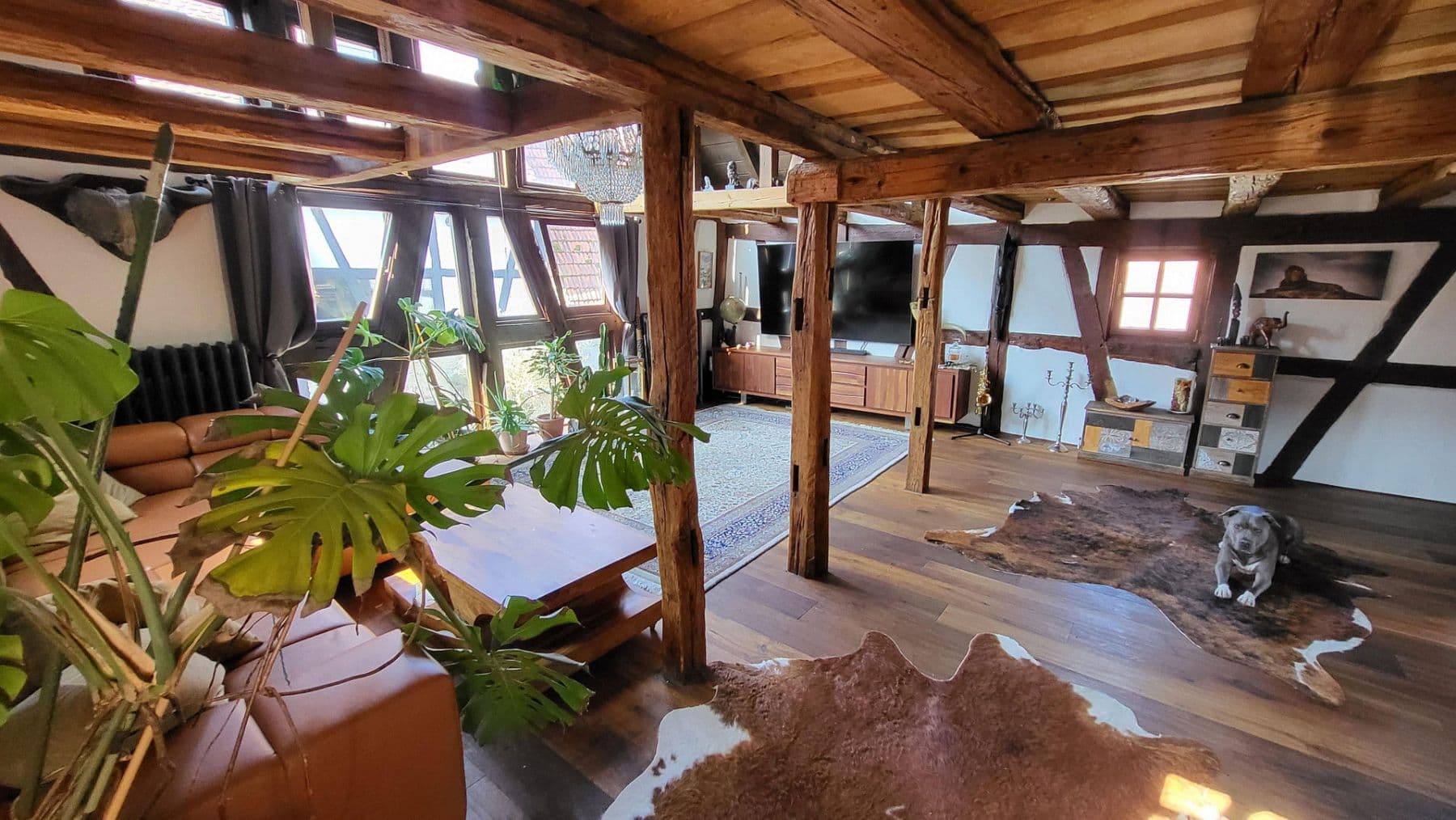 Predaj domu 280 m², pozemek 379 m², Rodenbach, Hesensko Predaj domu 280 m², pozemek 379 m², Rodenbach, Hesensko