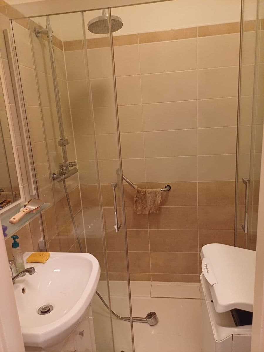 Prenájom bytu 2-izbový 54 m², Zborovská, Brno, Jihomoravský kraj Prenájom bytu 2-izbový 54 m², Zborovská, Brno, Jihomoravský kraj