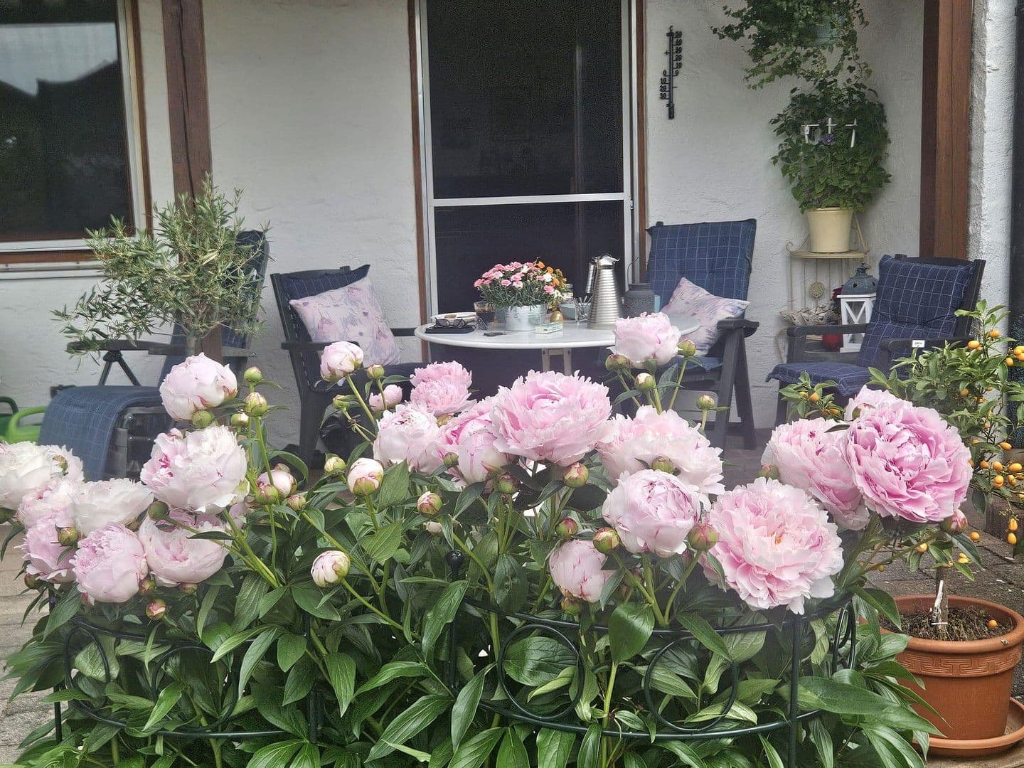 Predaj domu 136 m², pozemek 277 m², Kastl, Bavorsko Predaj domu 136 m², pozemek 277 m², Kastl, Bavorsko