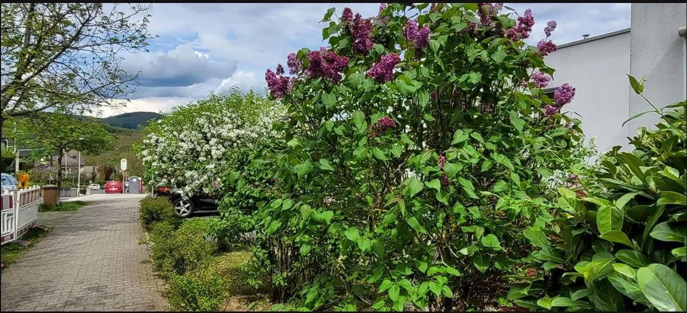 Prenájom bytu 3-izbový 93 m², Waldallee 7.42, Eppstein, Hesensko Prenájom bytu 3-izbový 93 m², Waldallee 7.42, Eppstein, Hesensko