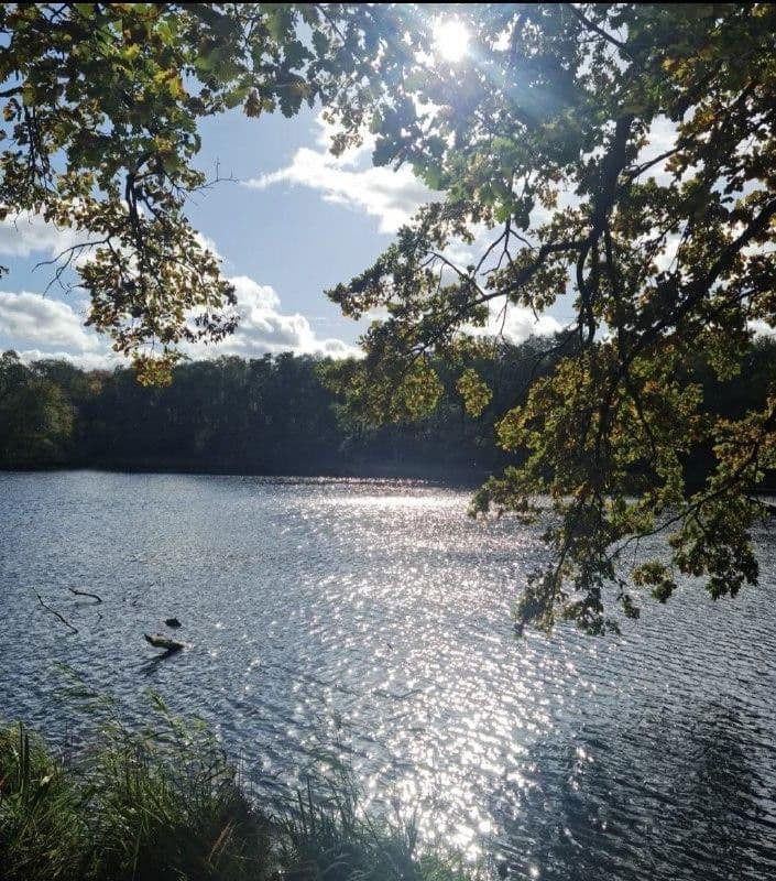 Predaj bytu 5-izbový 110 m², Berlin, Berlín Predaj bytu 5-izbový 110 m², Berlin, Berlín