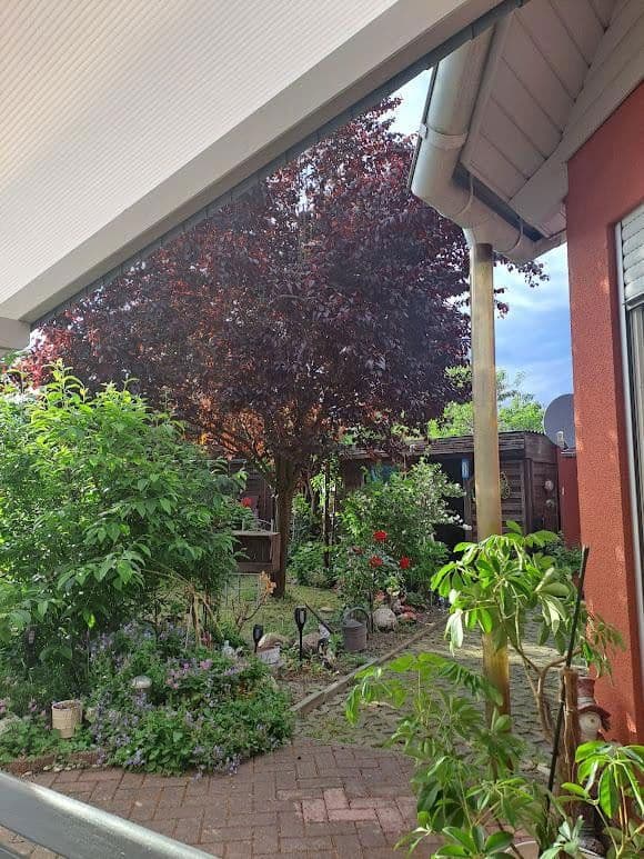 Predaj domu 117 m², pozemek 600 m², Vetschau/Spreewald, Brandenbursko Predaj domu 117 m², pozemek 600 m², Vetschau/Spreewald, Brandenbursko