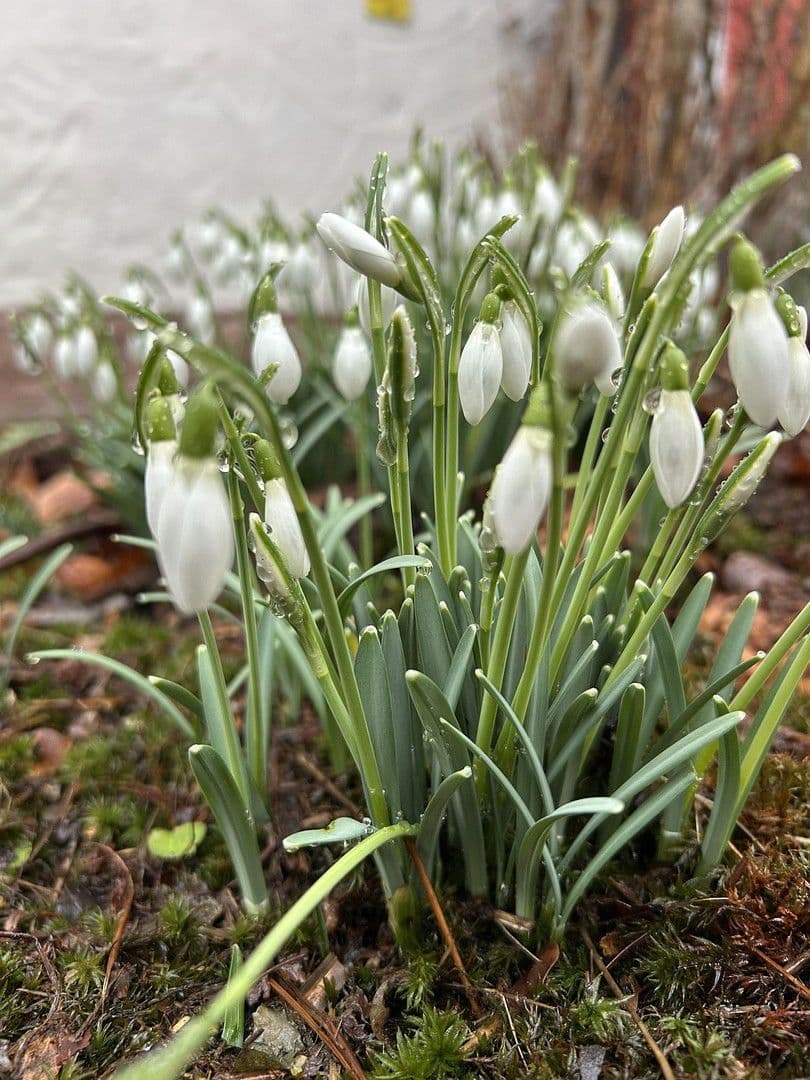 Predaj domu 98 m², pozemek 222 m², Aachen, Severné Porýnie - Westfálsko Predaj domu 98 m², pozemek 222 m², Aachen, Severné Porýnie - Westfálsko