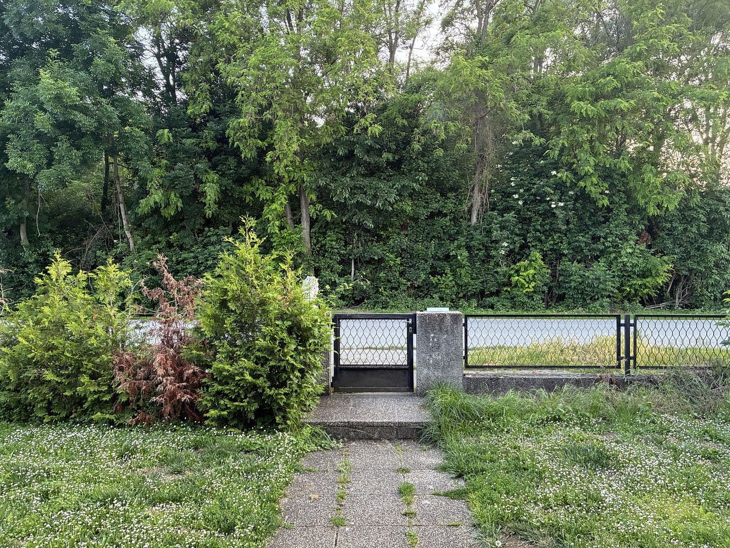 Predaj domu 130 m², pozemek 650 m², Pframa, Dolné Rakúsko Predaj domu 130 m², pozemek 650 m², Pframa, Dolné Rakúsko