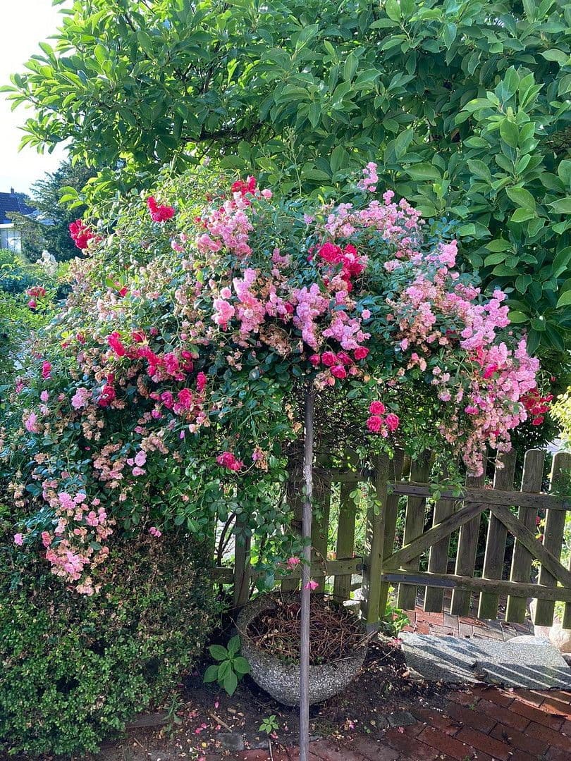 Predaj pozemku 500 m², Hasenbanckweg 2, Hamburg, Hamburg Predaj pozemku 500 m², Hasenbanckweg 2, Hamburg, Hamburg