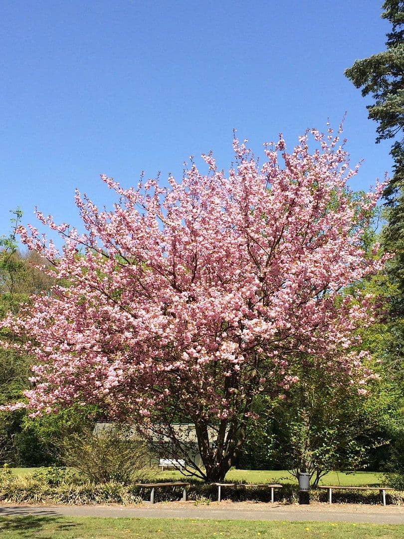 Predaj pozemku 500 m², Hasenbanckweg 2, Hamburg, Hamburg Predaj pozemku 500 m², Hasenbanckweg 2, Hamburg, Hamburg