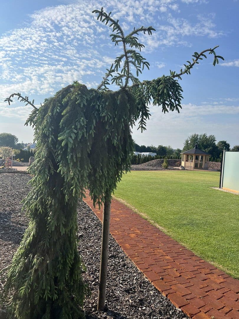 Predaj domu 230 m², pozemek 3.194 m², Weißkeißel – Wuskidź, Sasko Predaj domu 230 m², pozemek 3.194 m², Weißkeißel – Wuskidź, Sasko