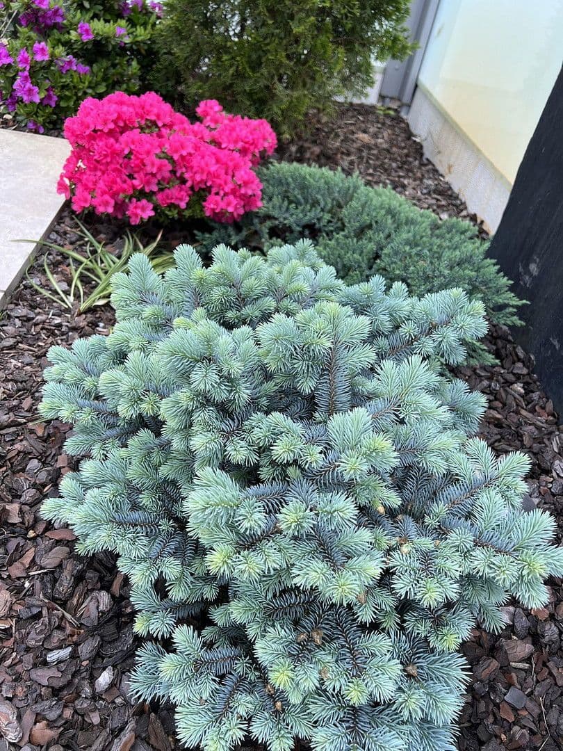 Predaj domu 230 m², pozemek 3.194 m², Weißkeißel – Wuskidź, Sasko Predaj domu 230 m², pozemek 3.194 m², Weißkeißel – Wuskidź, Sasko