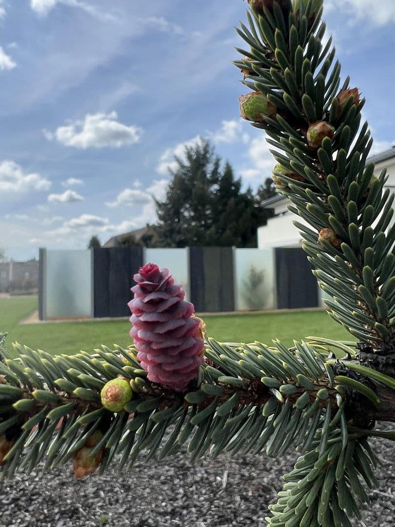 Predaj domu 230 m², pozemek 3.194 m², Weißkeißel – Wuskidź, Sasko Predaj domu 230 m², pozemek 3.194 m², Weißkeißel – Wuskidź, Sasko