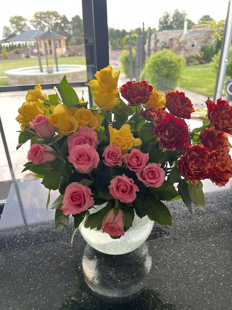 Predaj domu 230 m², pozemek 3.194 m², Weißkeißel – Wuskidź, Sasko Predaj domu 230 m², pozemek 3.194 m², Weißkeißel – Wuskidź, Sasko