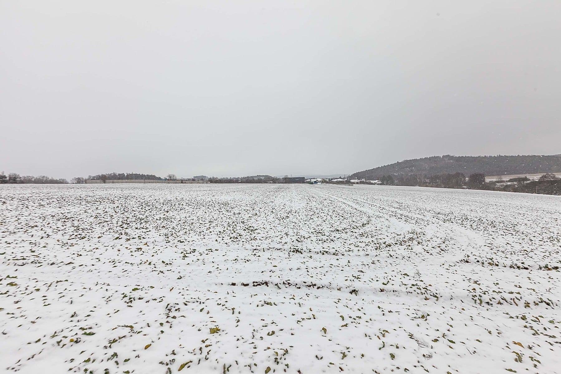 Predaj pozemku 6.839 m², Drásov, Jihomoravský kraj Predaj pozemku 6.839 m², Drásov, Jihomoravský kraj