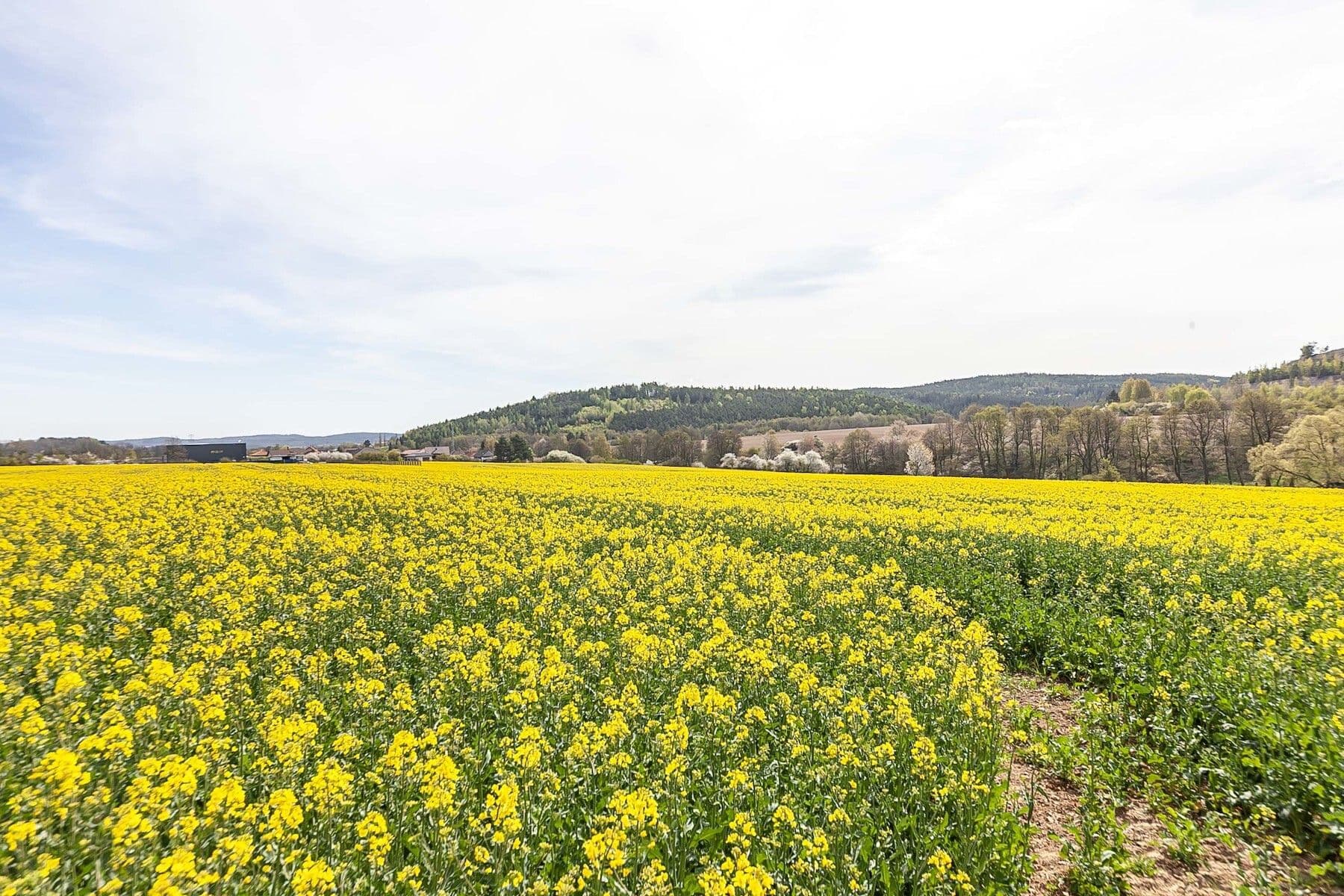 Predaj pozemku 6.839 m², Drásov, Jihomoravský kraj Predaj pozemku 6.839 m², Drásov, Jihomoravský kraj