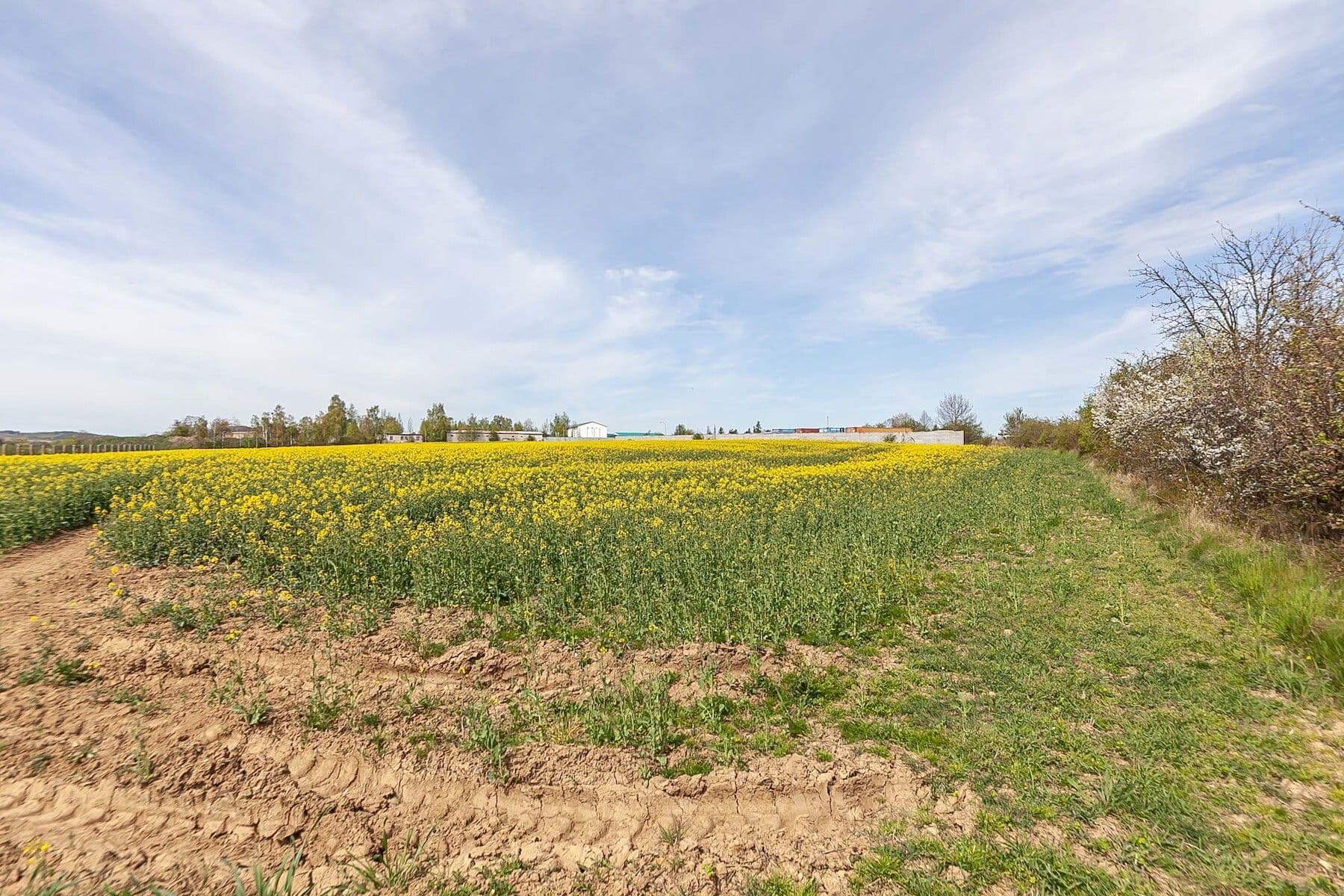 Predaj pozemku 6.839 m², Drásov, Jihomoravský kraj Predaj pozemku 6.839 m², Drásov, Jihomoravský kraj