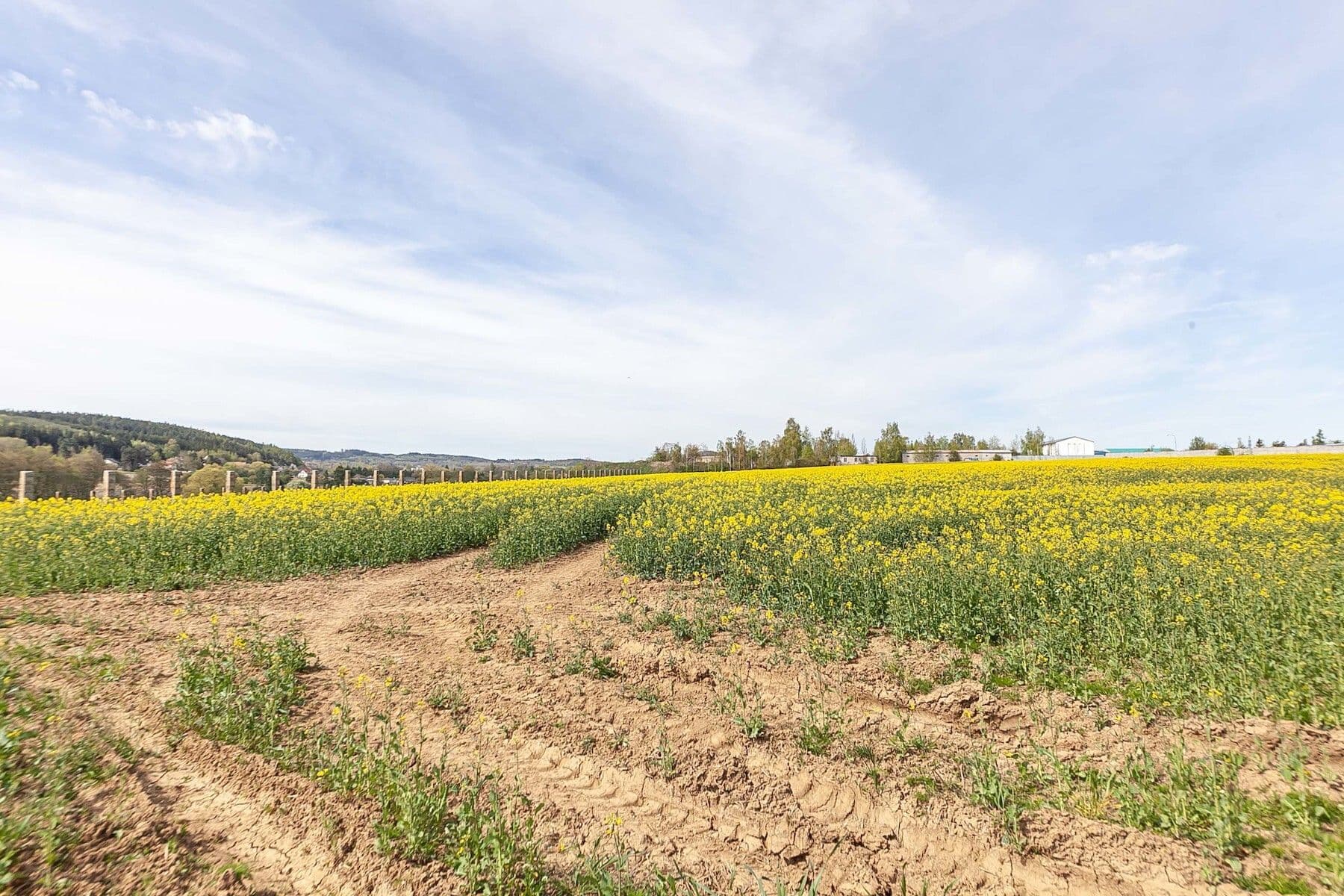 Predaj pozemku 6.839 m², Drásov, Jihomoravský kraj Predaj pozemku 6.839 m², Drásov, Jihomoravský kraj