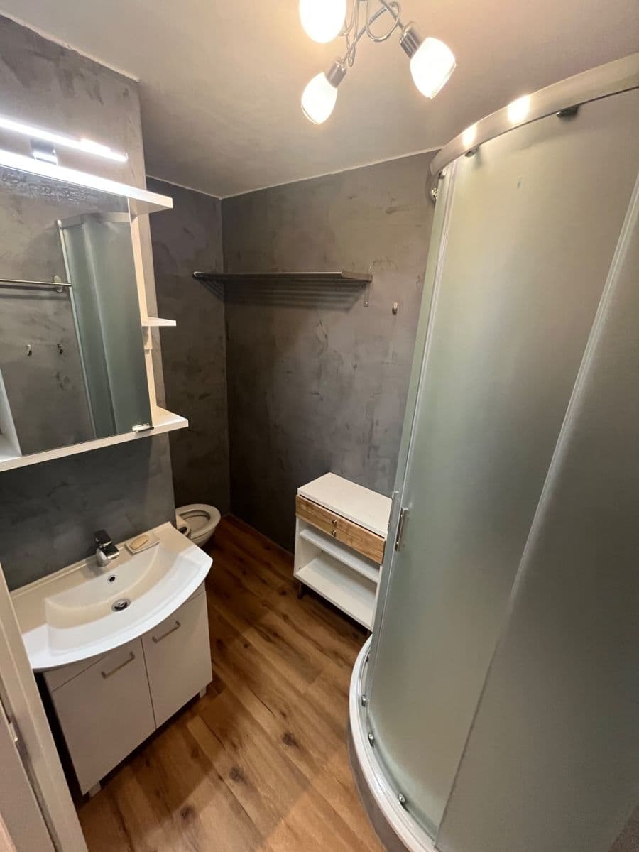 Prenájom bytu 2-izbový 44 m², Plynární, Říčany, Středočeský kraj Prenájom bytu 2-izbový 44 m², Plynární, Říčany, Středočeský kraj