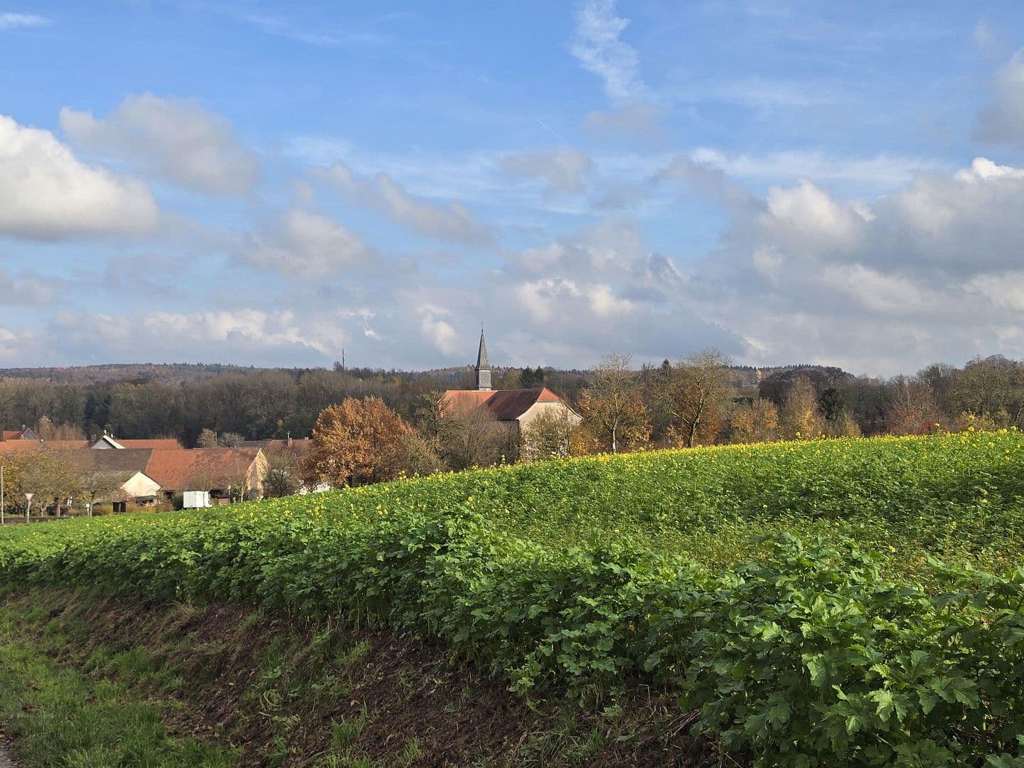 Predaj domu 187 m², pozemek 596 m², Lobbach, Bádensko-Wurttembersko Predaj domu 187 m², pozemek 596 m², Lobbach, Bádensko-Wurttembersko
