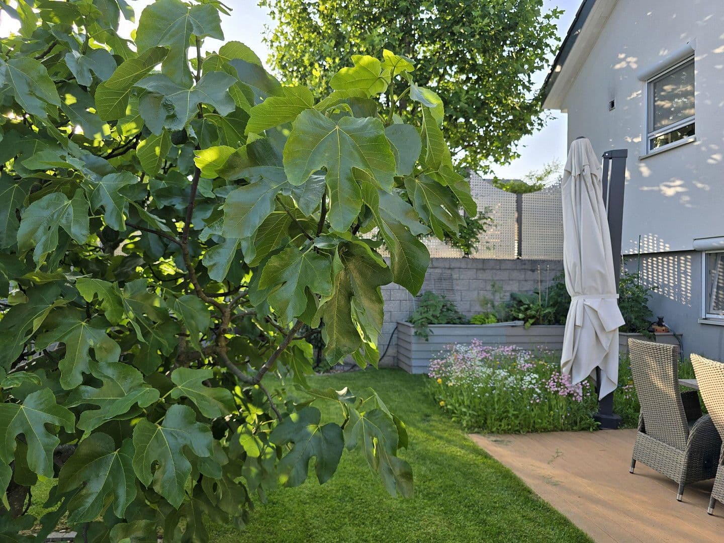 Predaj domu 187 m², pozemek 596 m², Lobbach, Bádensko-Wurttembersko Predaj domu 187 m², pozemek 596 m², Lobbach, Bádensko-Wurttembersko