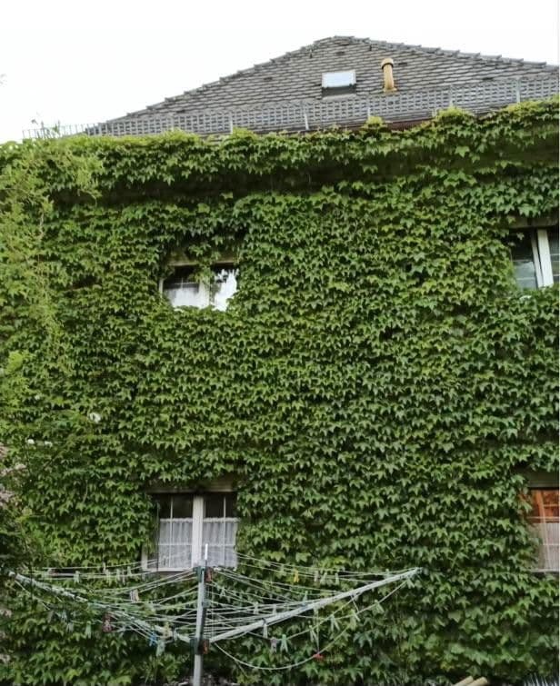 Predaj pozemku 724 m², Traunstein, Bavorsko Predaj pozemku 724 m², Traunstein, Bavorsko